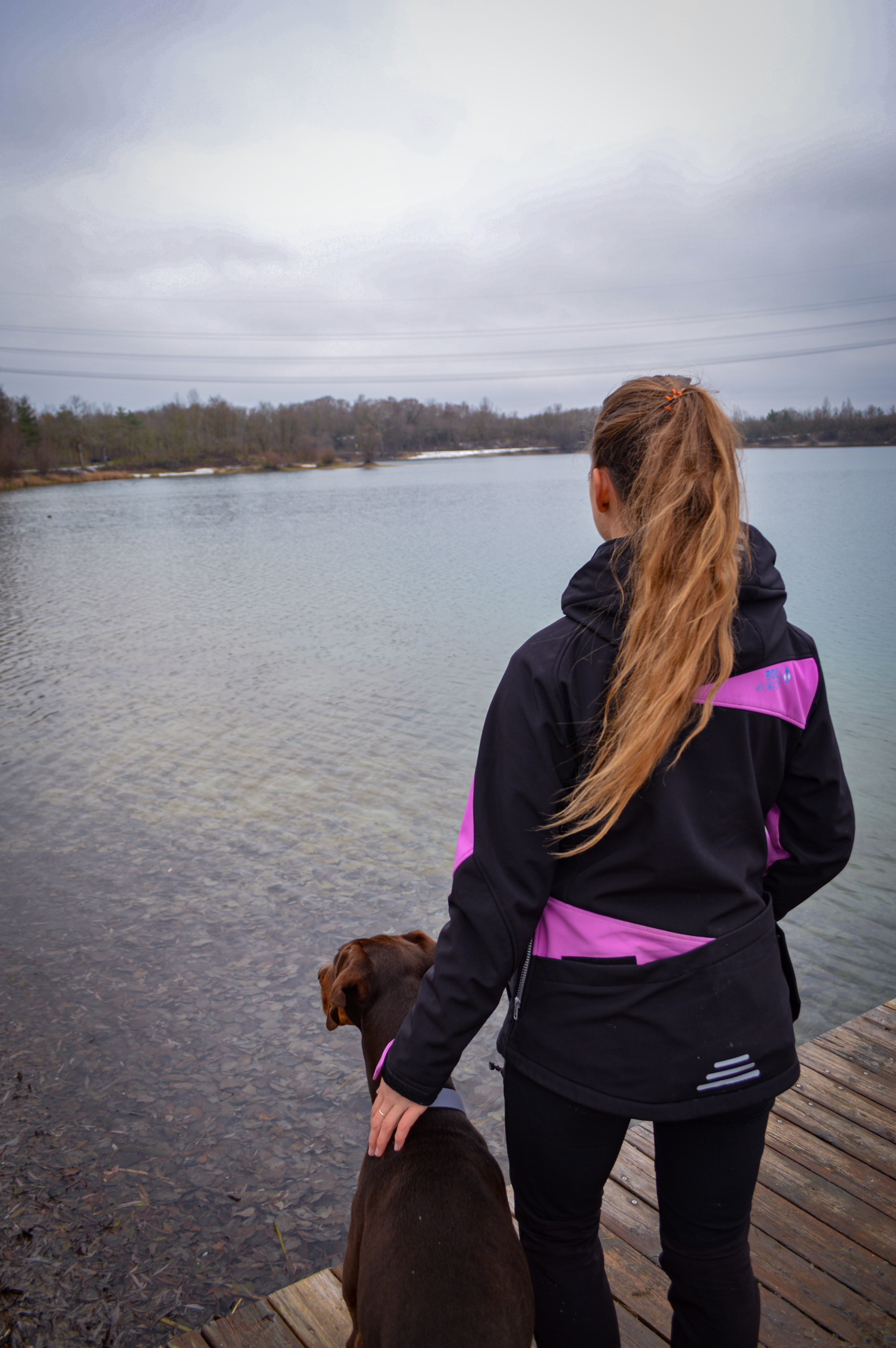 Meine Ausbildung zur Hundetrainerin bei Ziemer und Falke