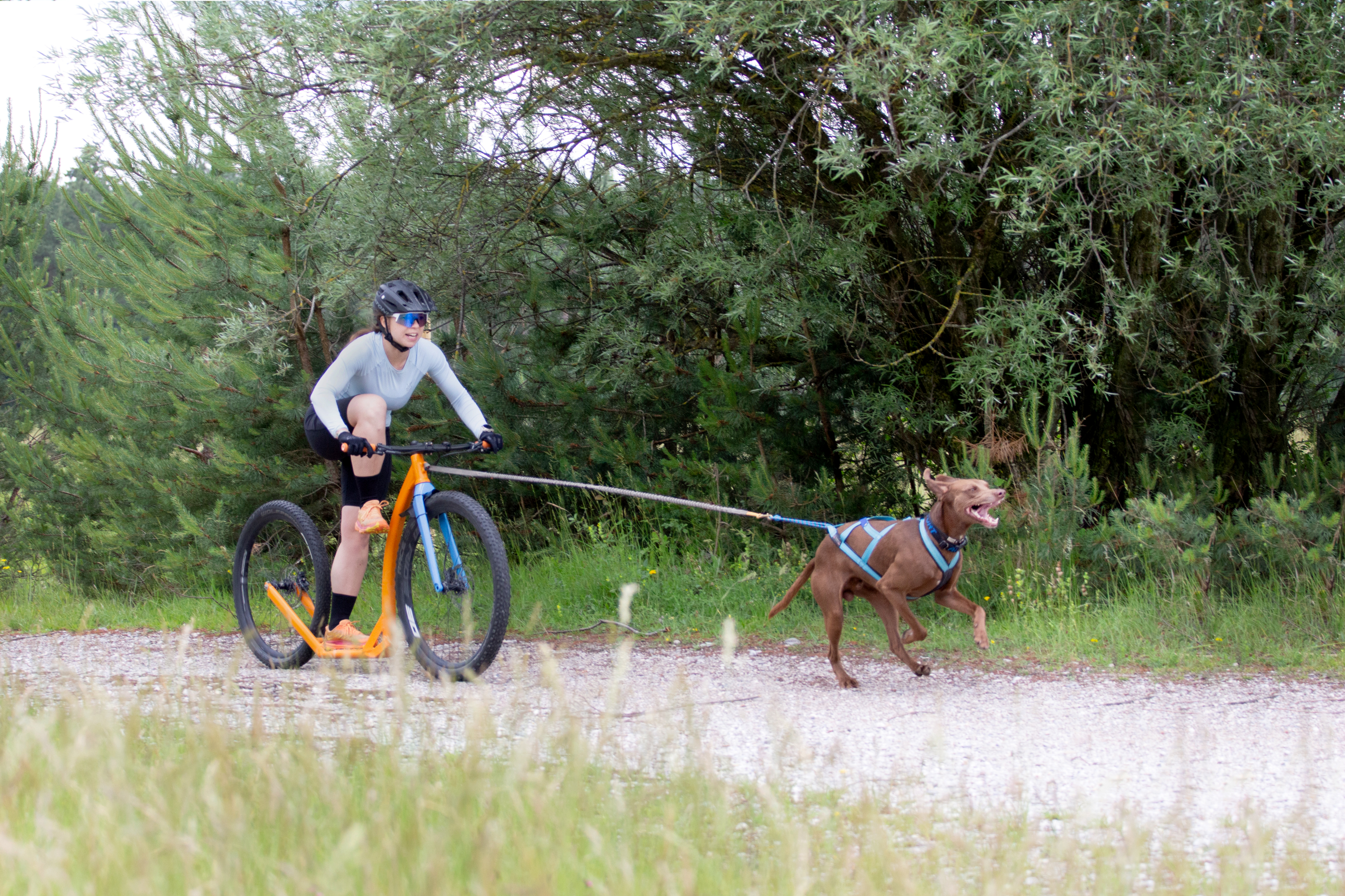 Fortgeschritenen Paket