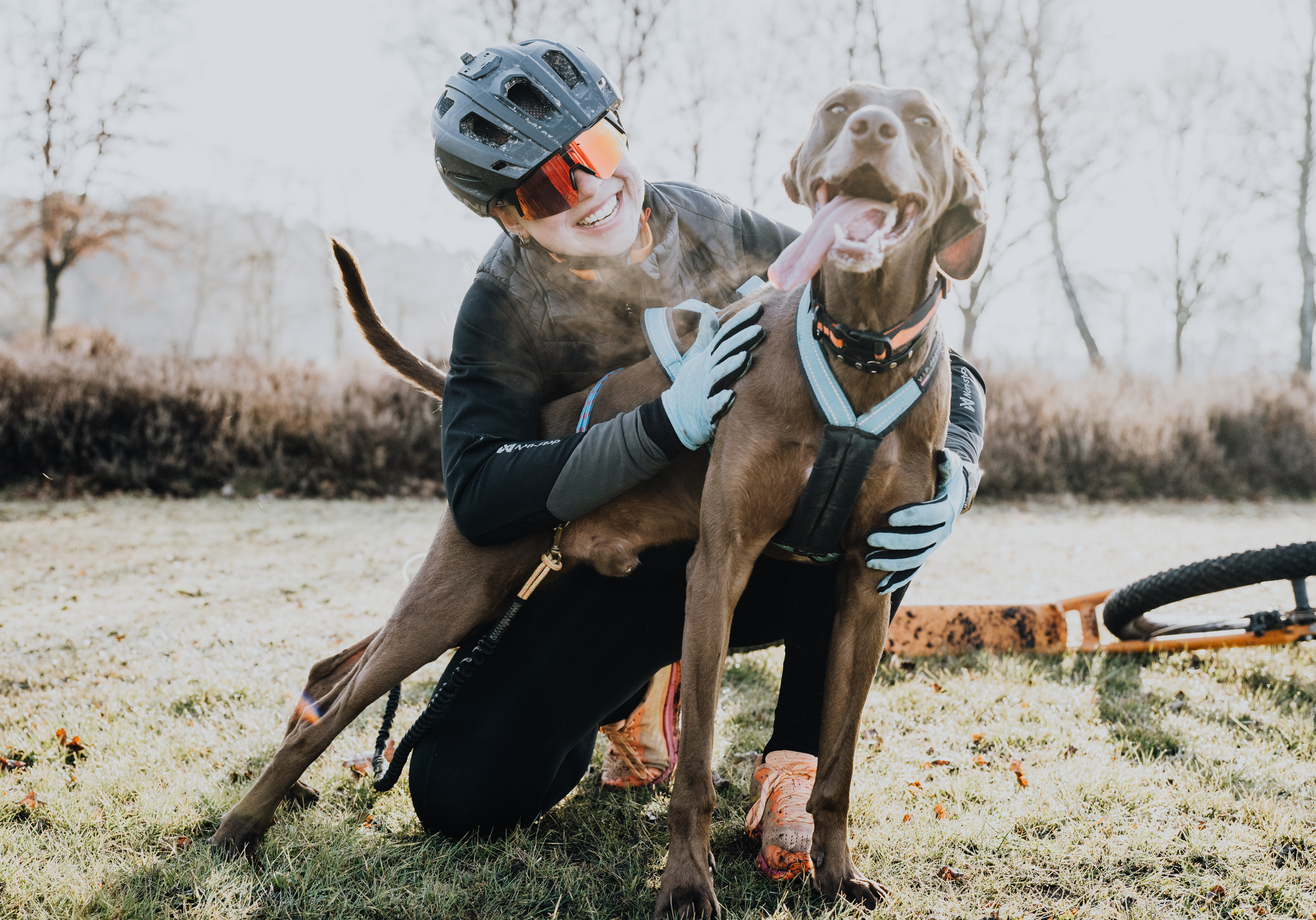 Longevity & Zughundesport – Für ein langes, gesundes Leben mit Hund